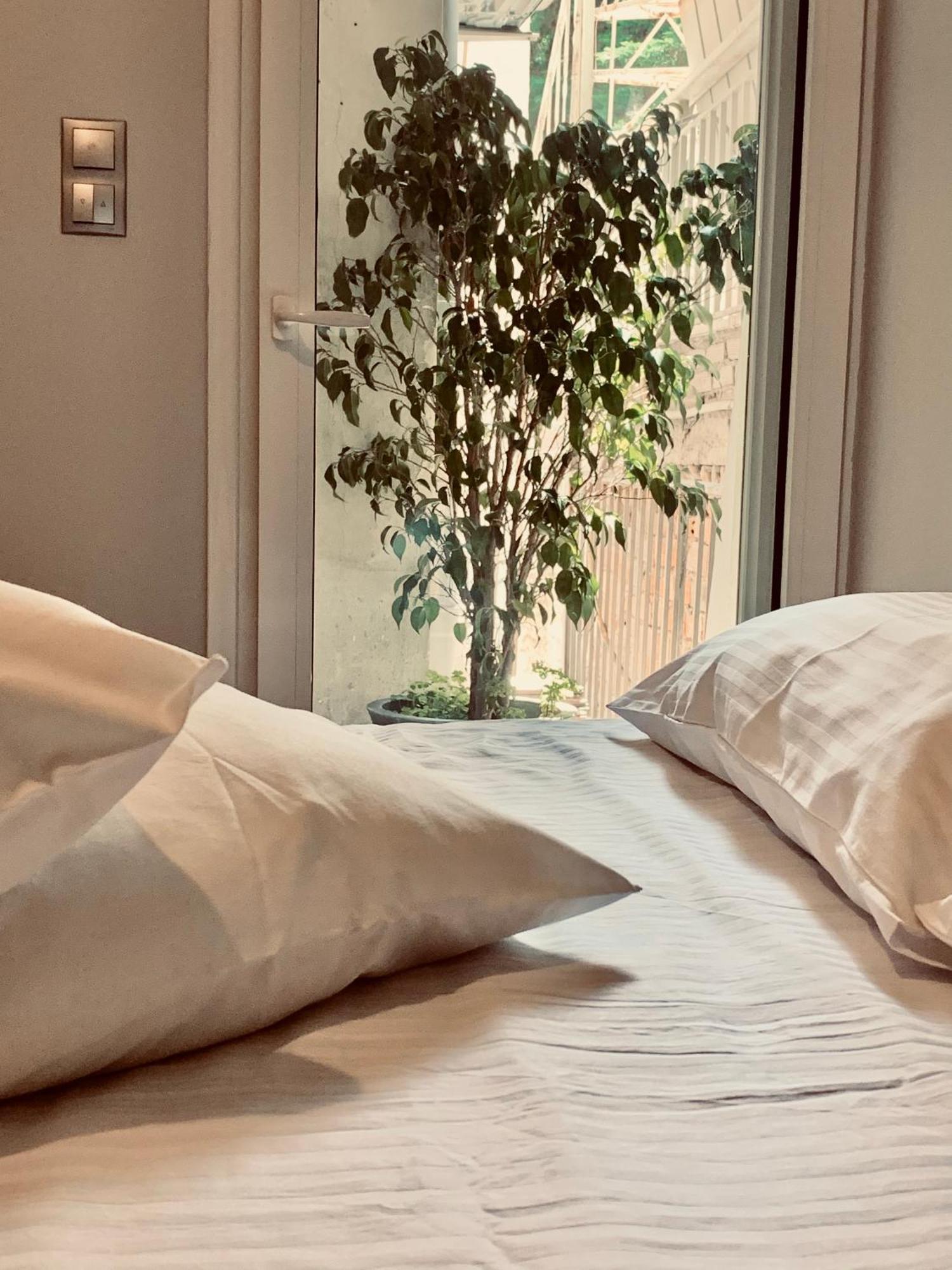 Olympian Zeus Apartments Ateny Zewnętrze zdjęcie
